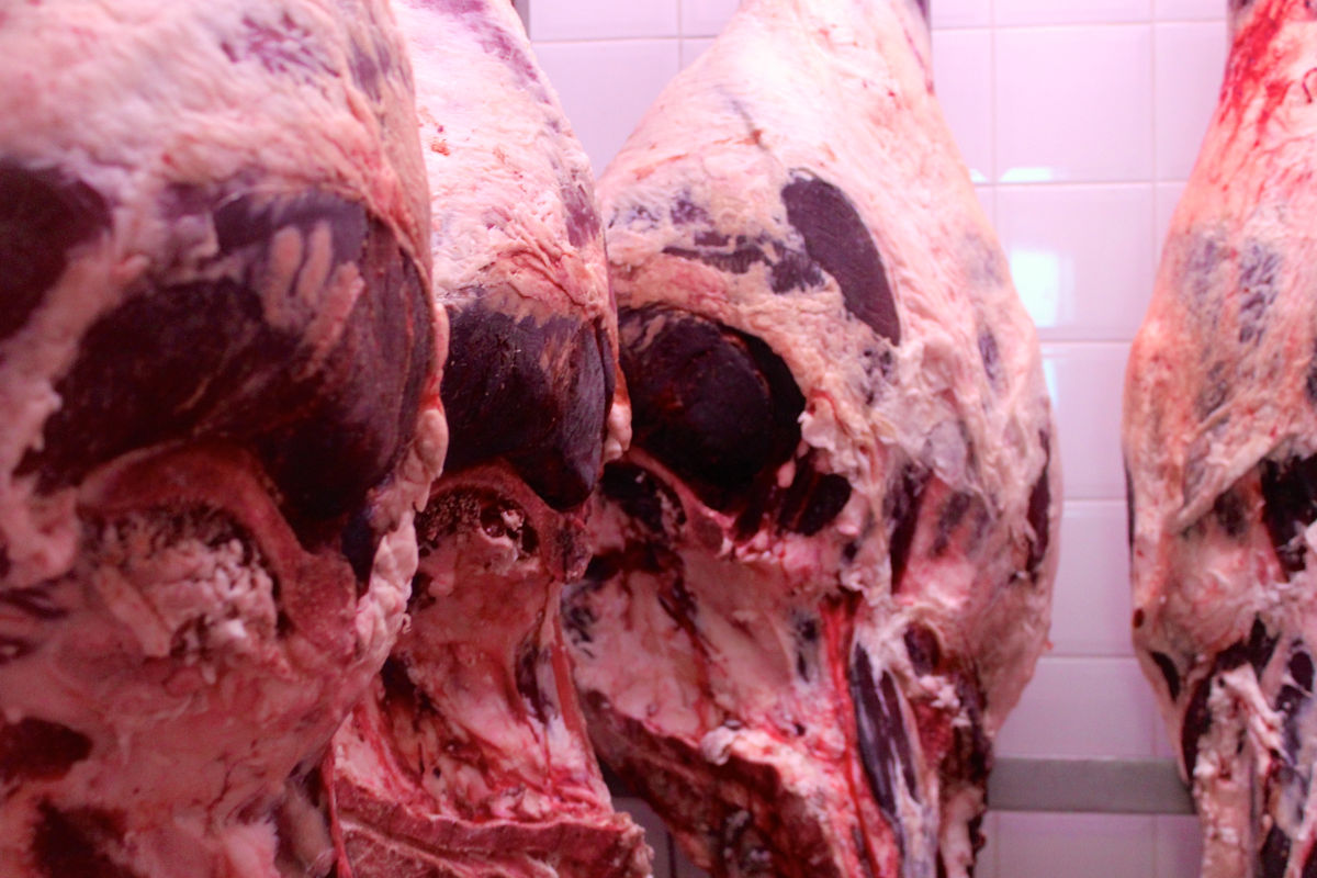 meat cuts dario cecchini