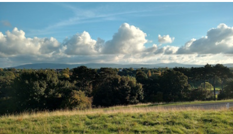 Grassy hill and forest under a bright sky in Dublin