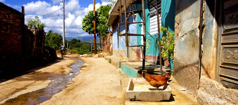 chicken on the street andrew zimmern travel quote