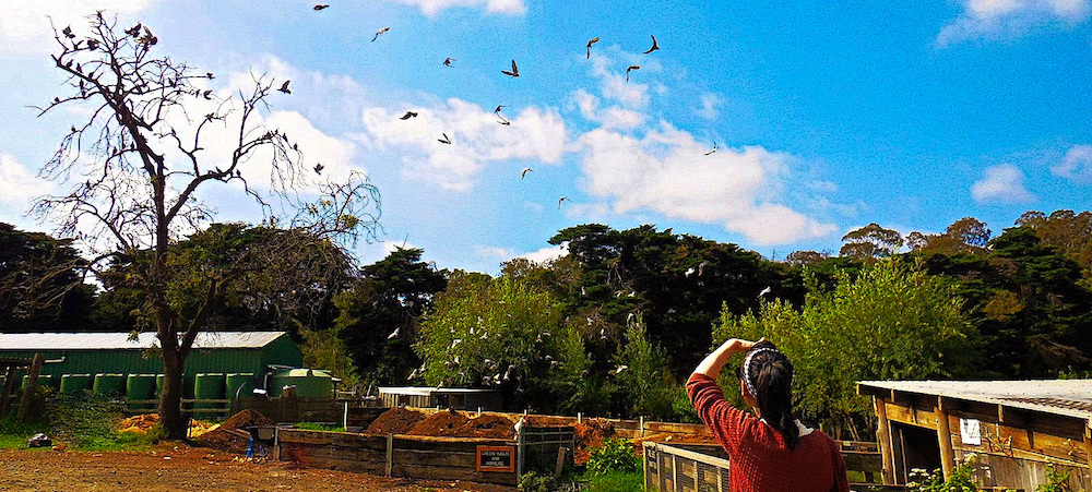 How to Live in 10 Countries Before You Die - Personal Growth Through Travel - Working for Housing