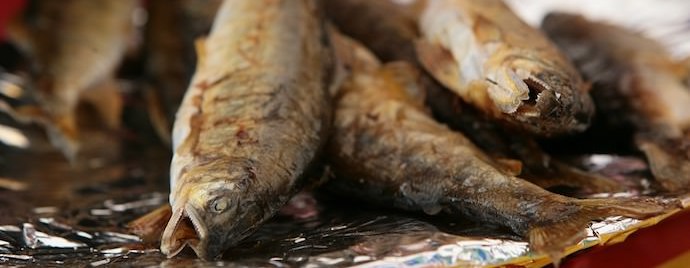 Benefits of Traveling Abroad - Fish