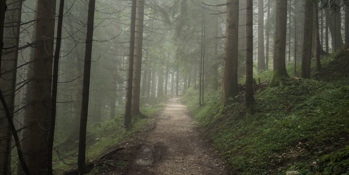 Benefits of Traveling Abroad - Gut Instinct - Authentic Traveling