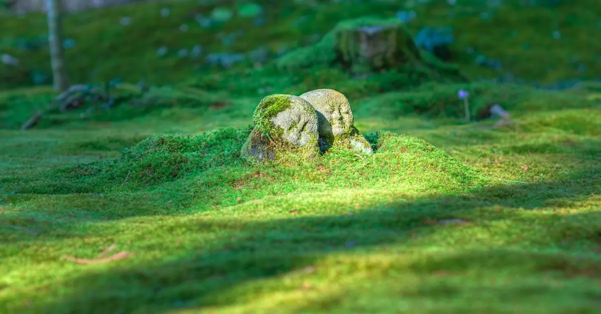 Explore the surprising truth about moderation in life and travel and how balancing your experiences can lead to more fulfilling and sustainable adventures.