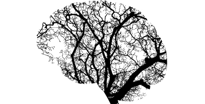 Travel Adaptabilty - Brain Neuroplasticity - Authentic Traveling